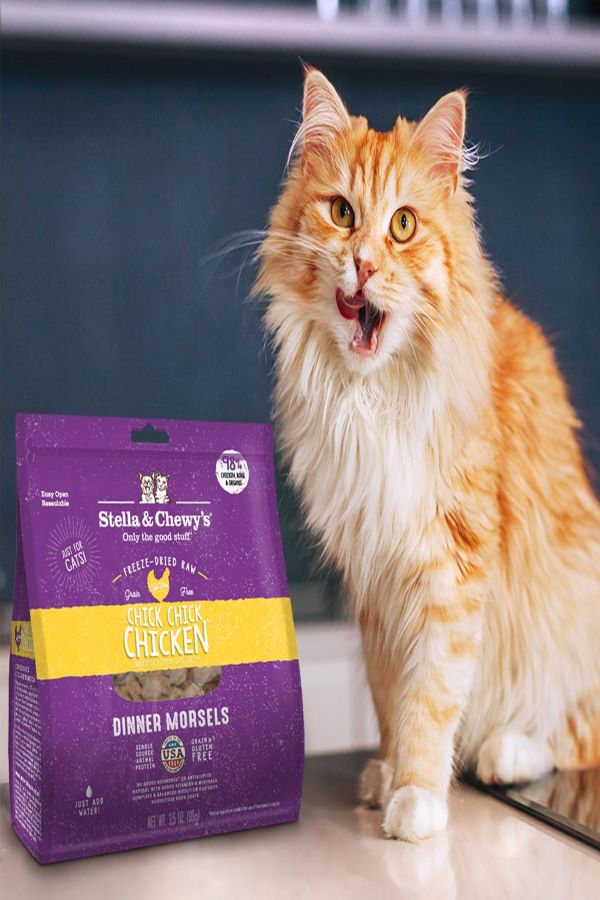 Best Freeze-dried Stella & Chewy’s Cat Food