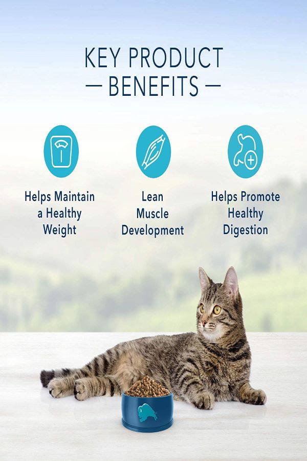 Blue-Buffalo-Low-Calories-Cat-Food