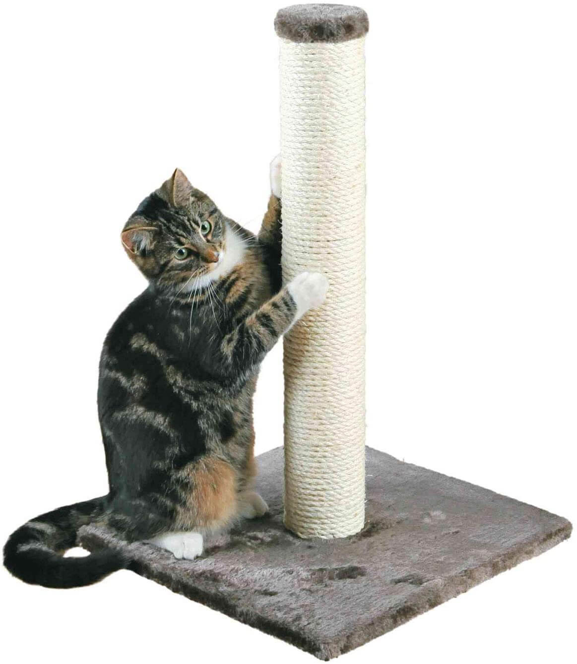 Best Cat Scratching Post To File Nails Review And Buying Guide 2020