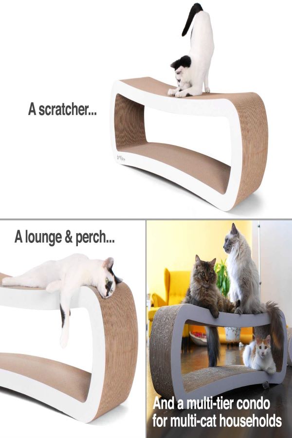 scratching lounge to file nails