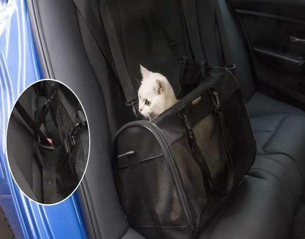 best cat crate for car travel