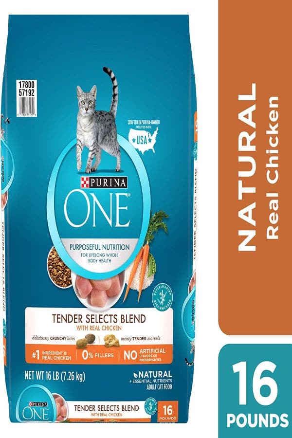 Purina-one-Dry-Cat-Foods