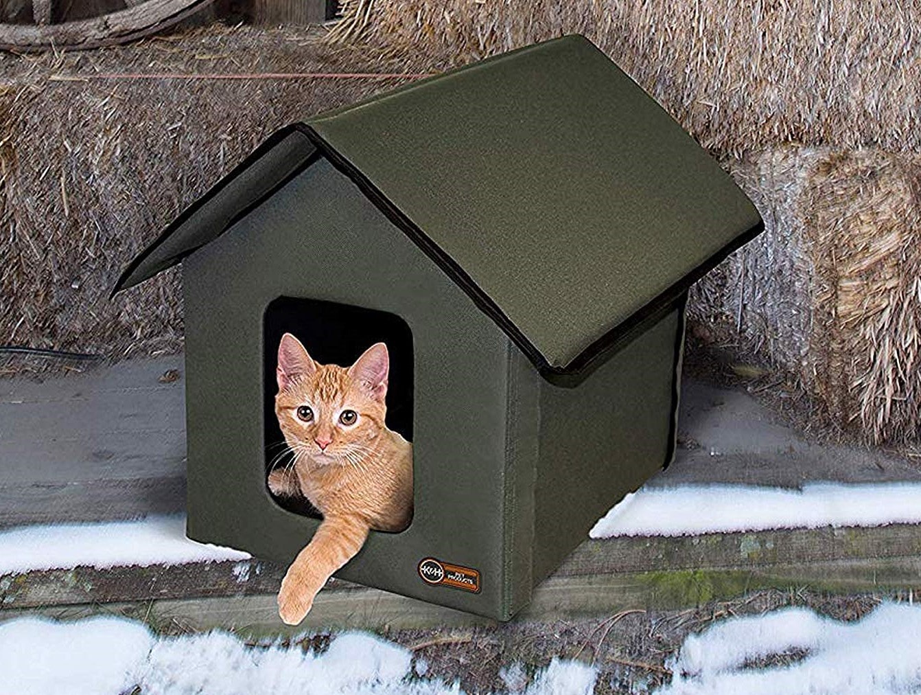 best-heated-cat-house