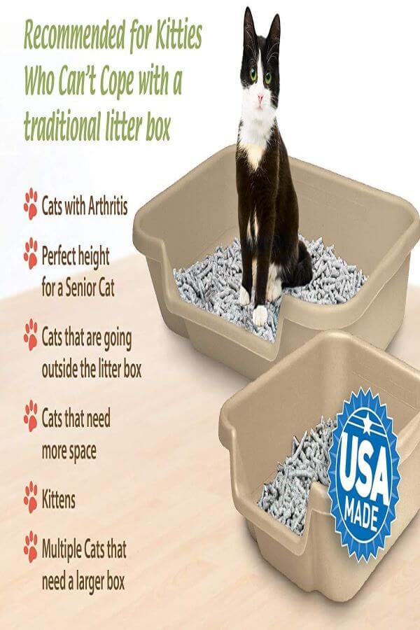 KittyGoHere Litter Box Senior Cat Litter Box