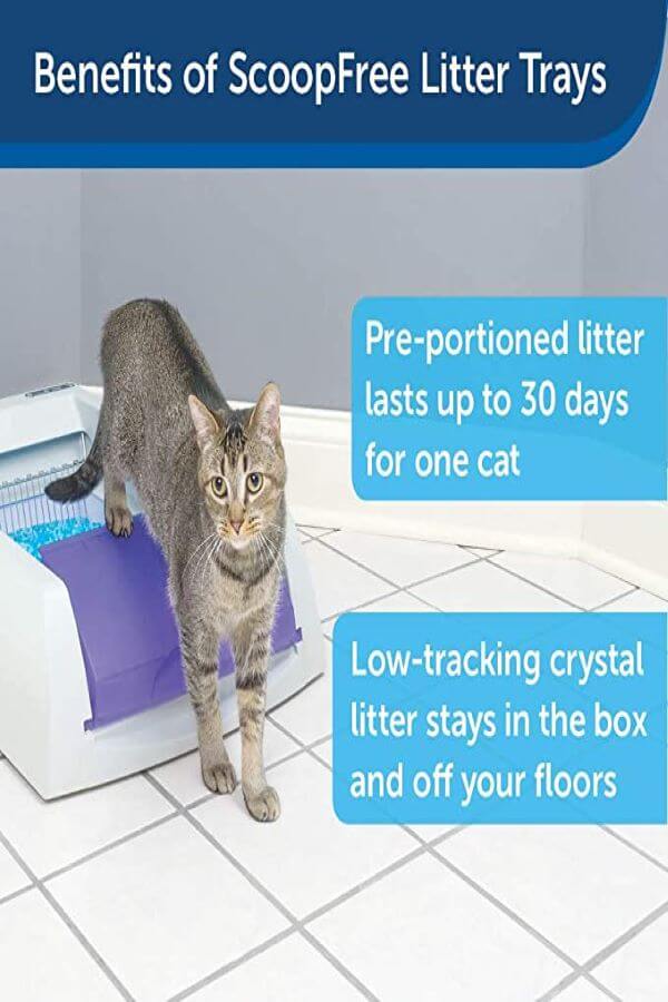 PetSafe ScoopFree Automatic Self-Cleaning Cat Litter Box – Includes Disposable Trays with Crystal Litter