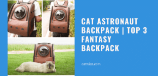 Cat Astronaut Backpack Top 3 Fantasy Backpack
