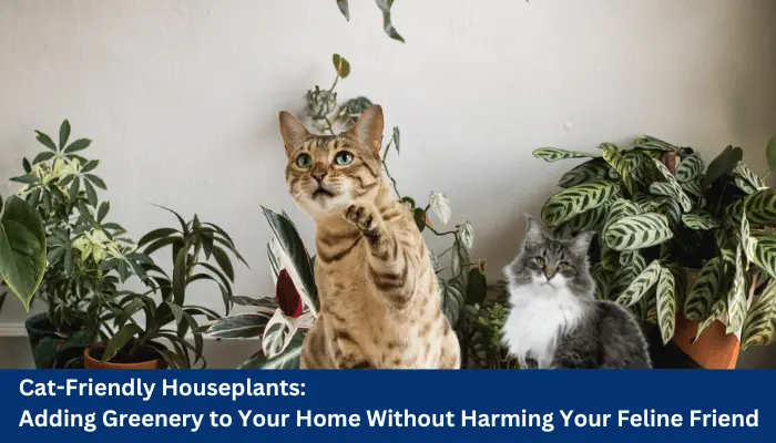 Cat-Friendly Houseplants: Adding Greenery to Your Home Without Harming Your Feline Friend