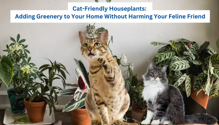 Cat-Friendly Houseplants Adding Greenery to Your Home Without Harming Your Feline Friend