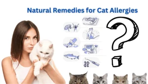 Natural Remedies for Cat Allergies