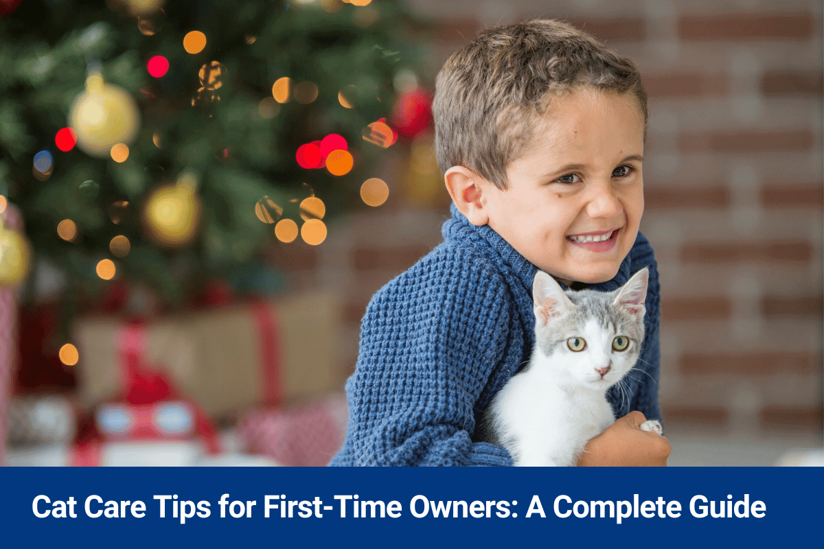 Cat Care Tips for First-Time Owners: A Complete Guide